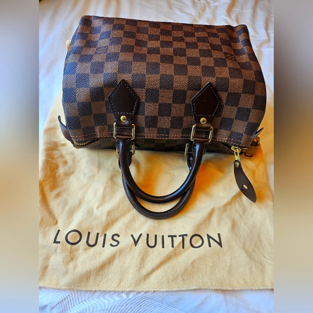 Louis vuitton speedy 25 damier